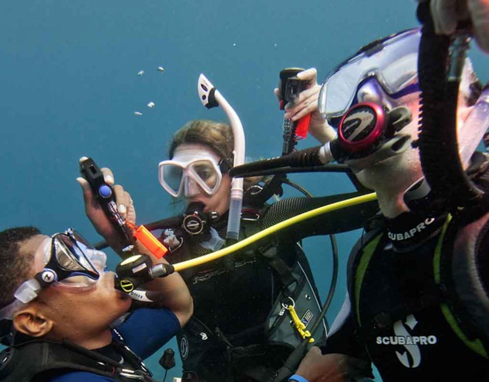 the divers sharing their octos making an ascent to the surface