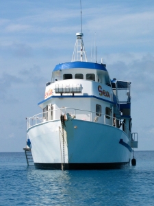 front on shot of MV SeaEsta while she is anchored on the Great Barrier Reef