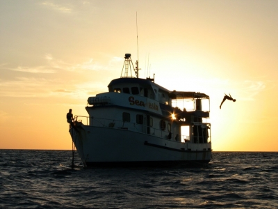 MV SeaEsta with the sun setting behind it into the horizon, one passenger sitting at the bow and one passenger diving off the deck into the water