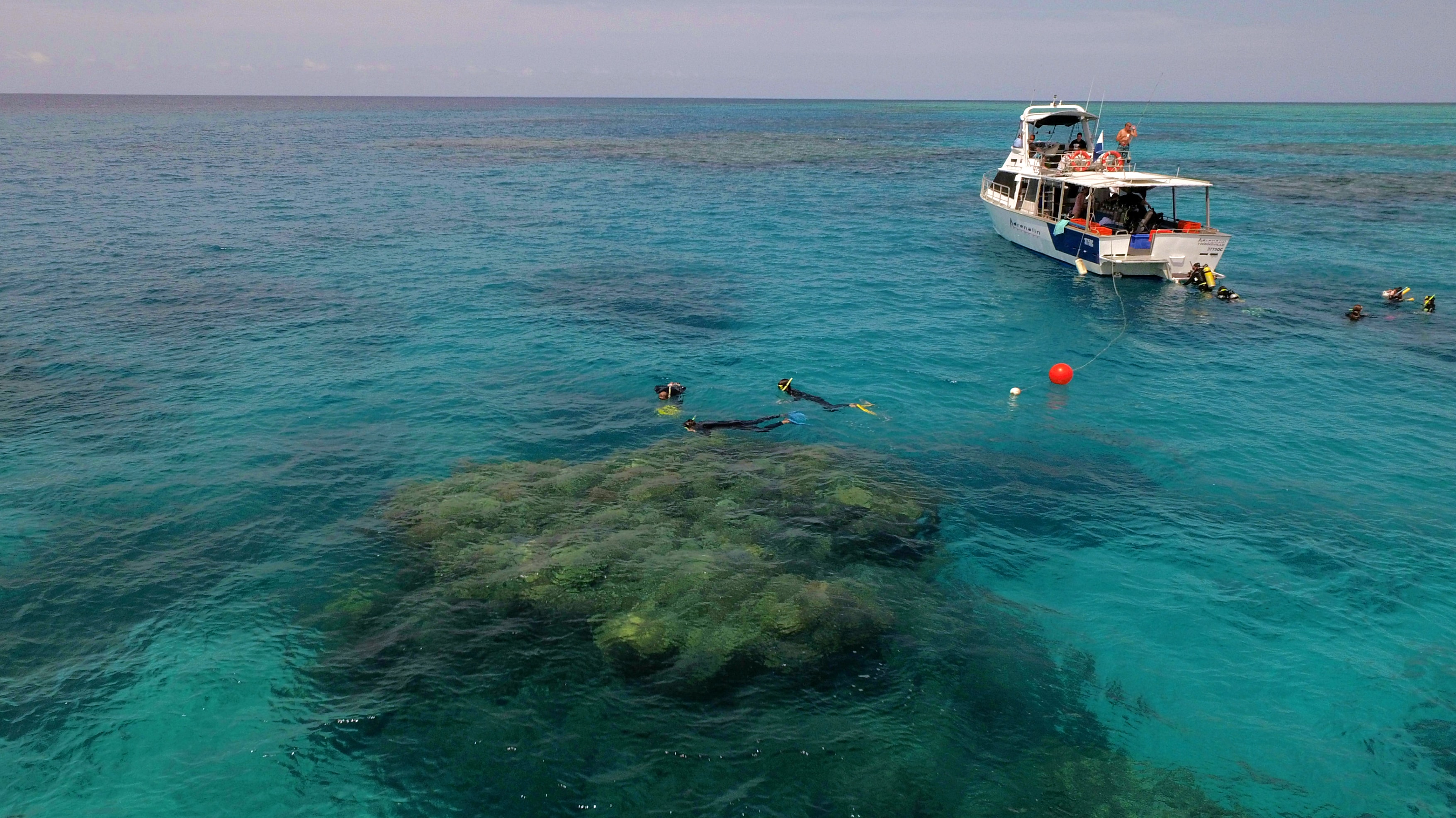 Great Barrier Reef Townsville Magnetic Island Lodestone Reef - Snorkel Dive