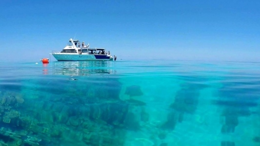 Great Barrier Reef Townsville Magnetic Island Lodestone Reef - Snorkel Dive