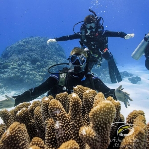 scuba divers posing in the background with coral in the foreground