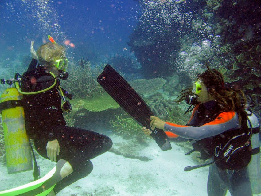 Photo of a scuba diver handing her buddy her fin underwater