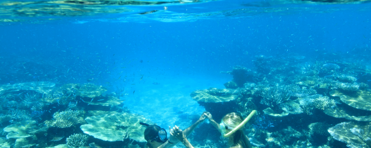 Things to do in Townsville these school holidays Two girls snorkeling the Great Barrier Reef